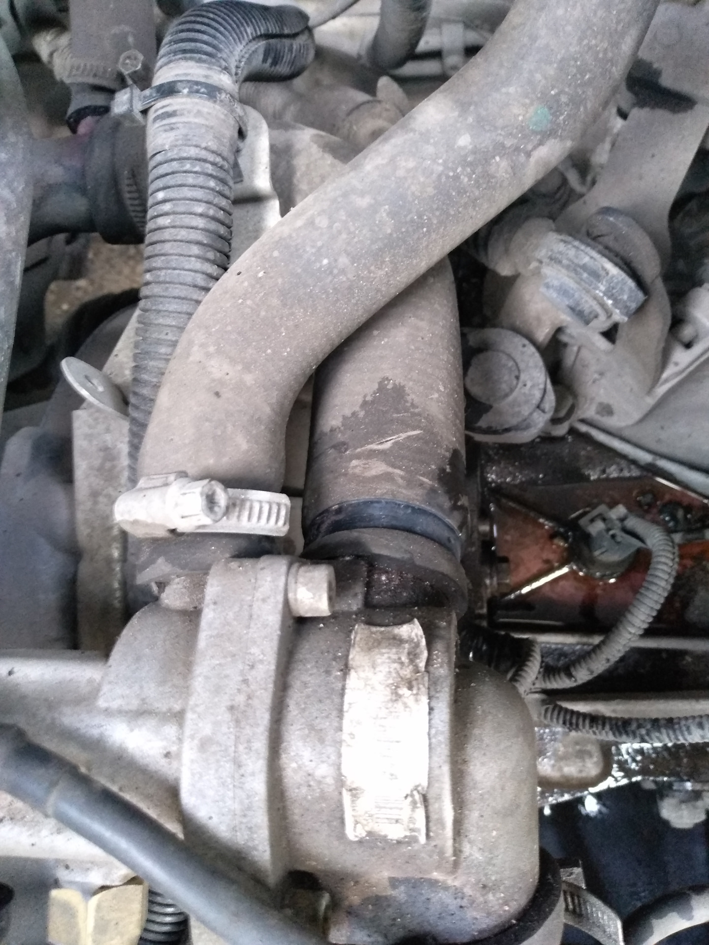 Утечка антифриза — Lada Приора седан, 1,6 л, 2014 года | поломка | DRIVE2