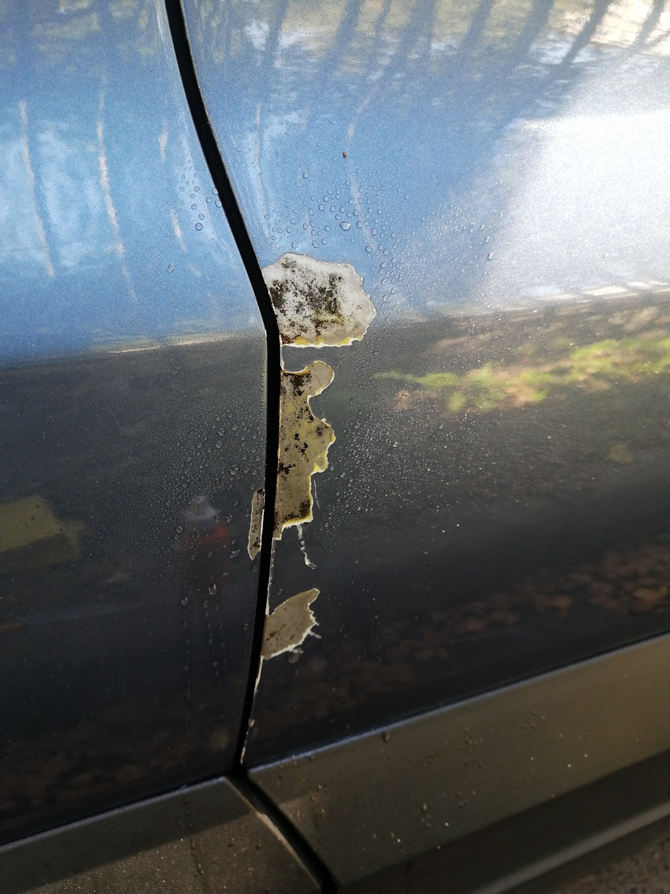 Скол на лобовом стекле до и после. Лобовое с небольшим сколом. Скол на лобовом. Маленький скол на лобовом стекле. Скол на стекле.