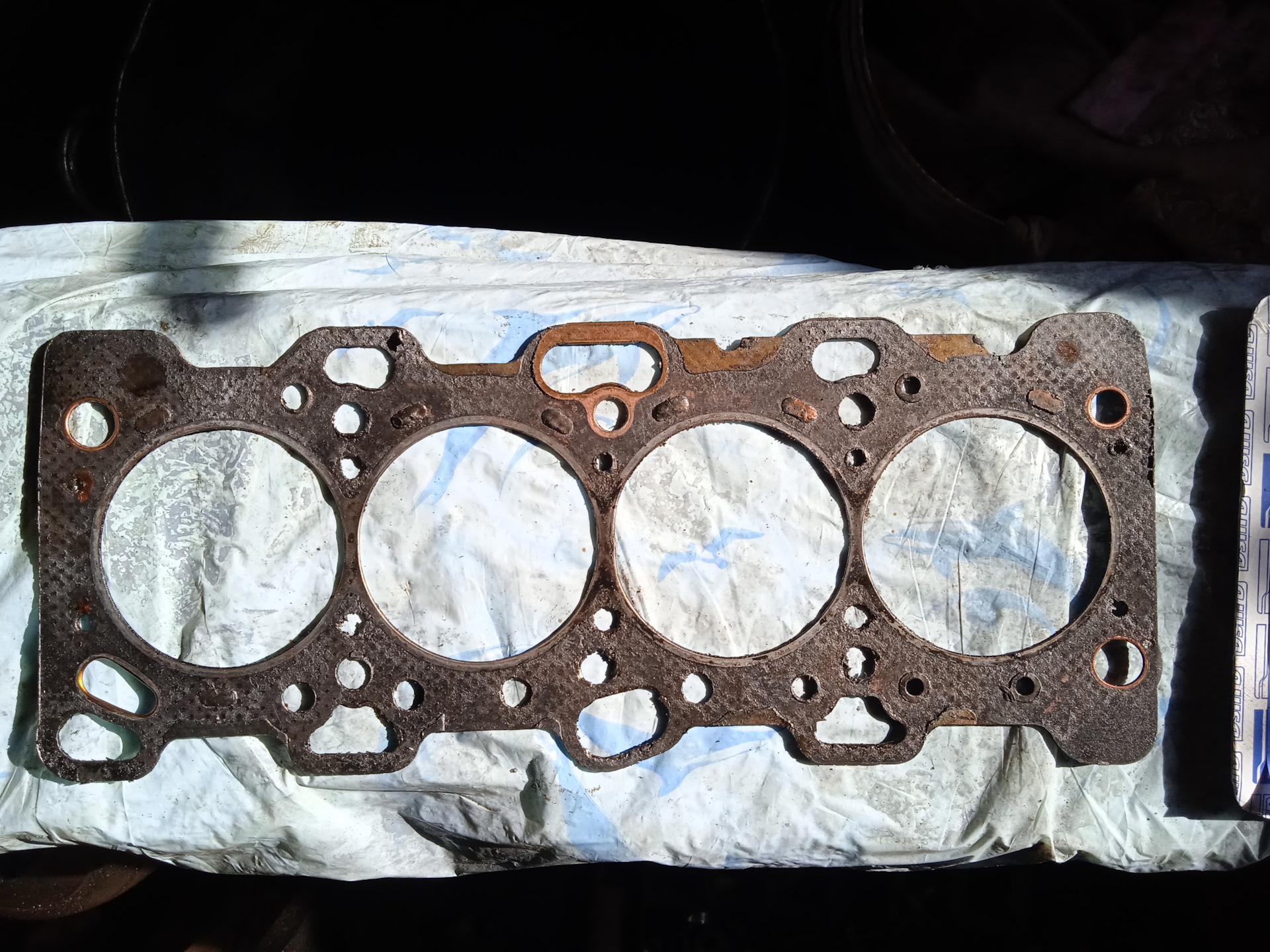 Фото в бортжурнале Huanghai Antelope