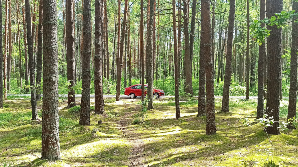 #6 Визит к ОД или Лада Гранта Тележка с болтами. — Lada Гранта Лифтбек ...