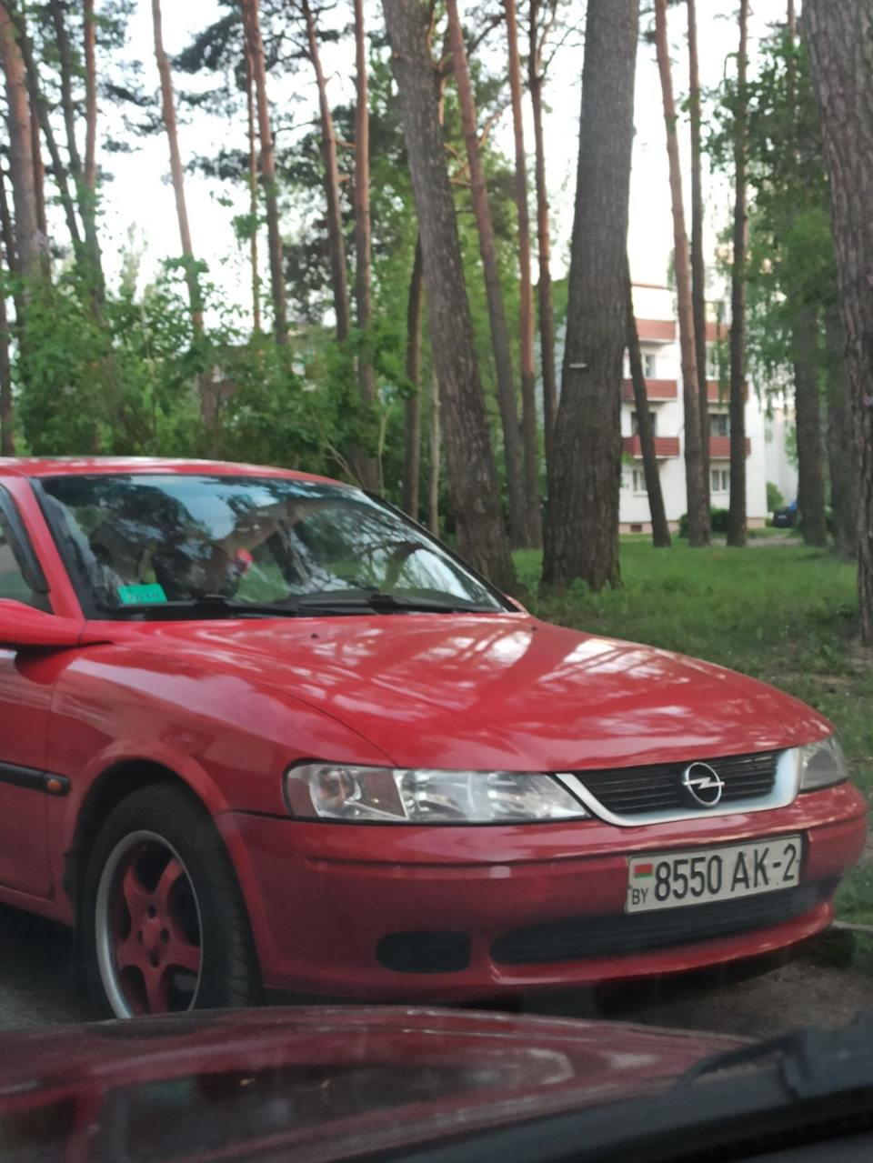 Чем хороша) — Opel Vectra B, 1,6 л, 1996 года | просто так | DRIVE2