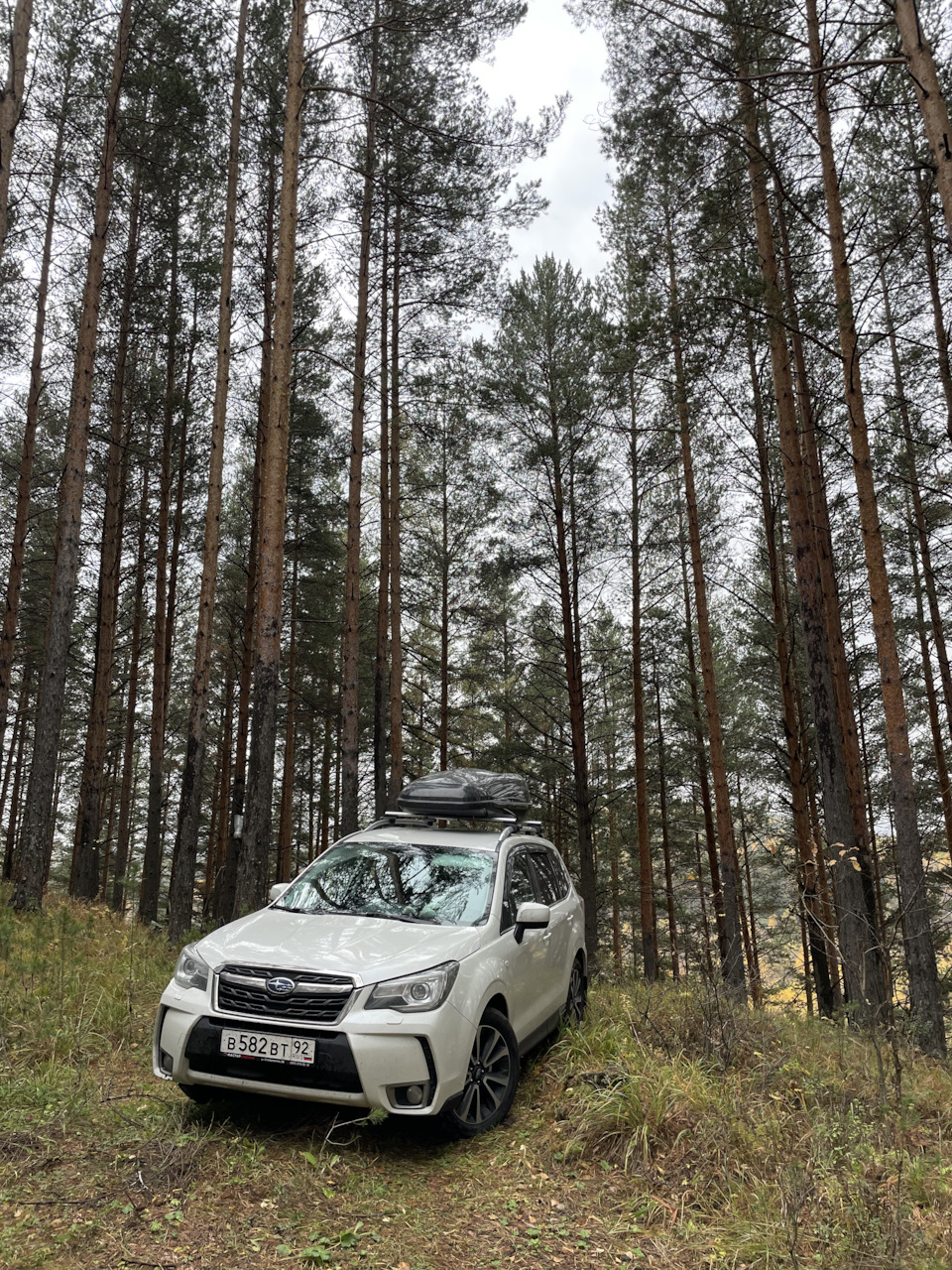 Москва-Нижний-Казань-Челябинск-Омск-Новосибирск — Subaru Forester (SJ), 2  л, 2017 года | путешествие | DRIVE2