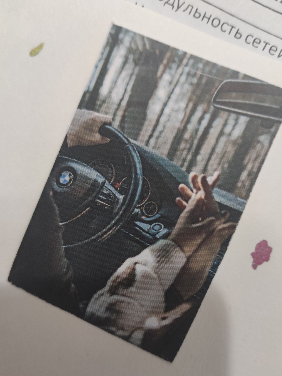 4. История о том, как я покупала лонжероны на розовой вечеринке — BMW 3 ...