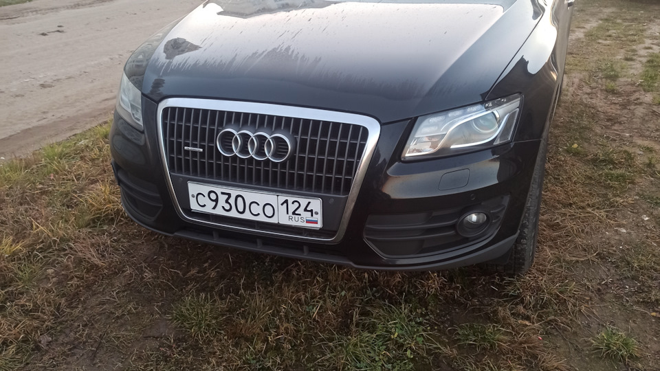 Задний дворник — Audi Q5 (1G), 2 л, 2010 года | поломка | DRIVE2
