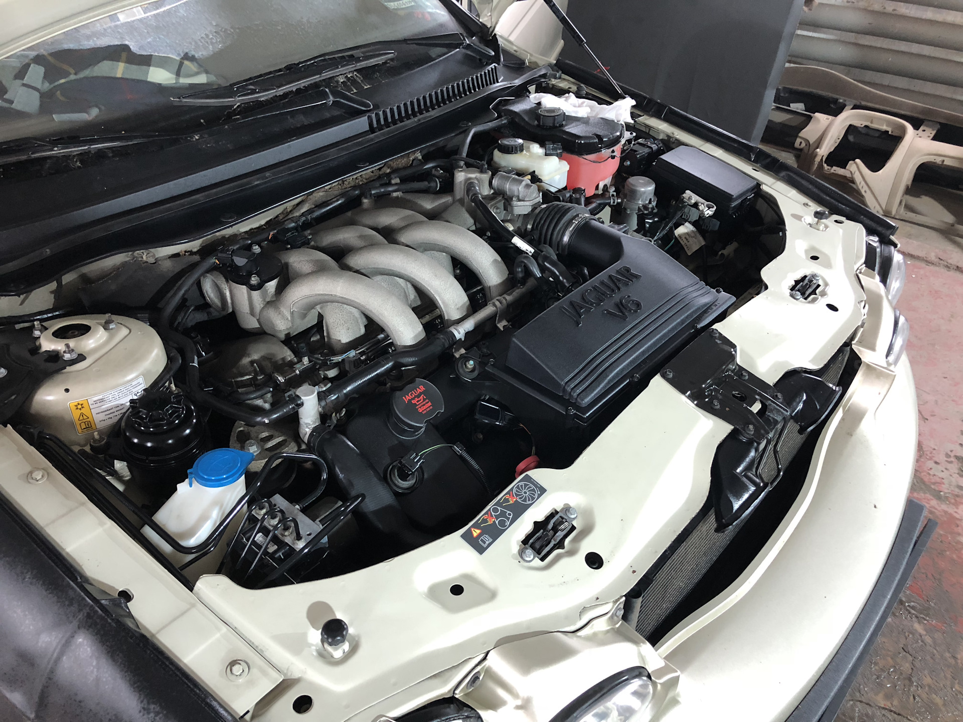 Немножко химчистки сидений — Jaguar X-Type, 2,1 л, 2007 года | другое ...