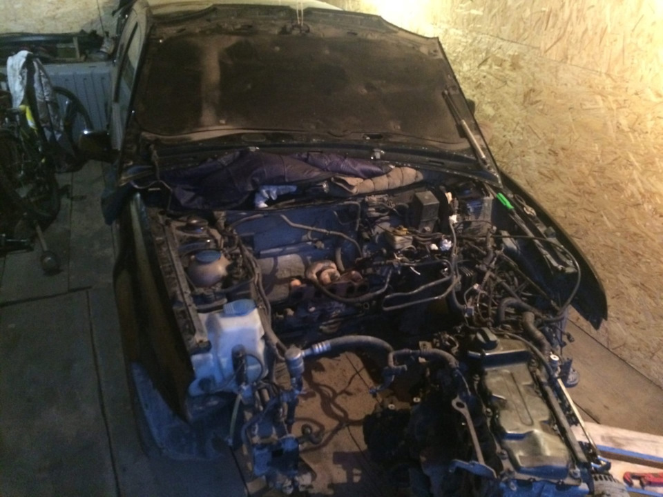 Фото в бортжурнале Volkswagen Golf Mk4