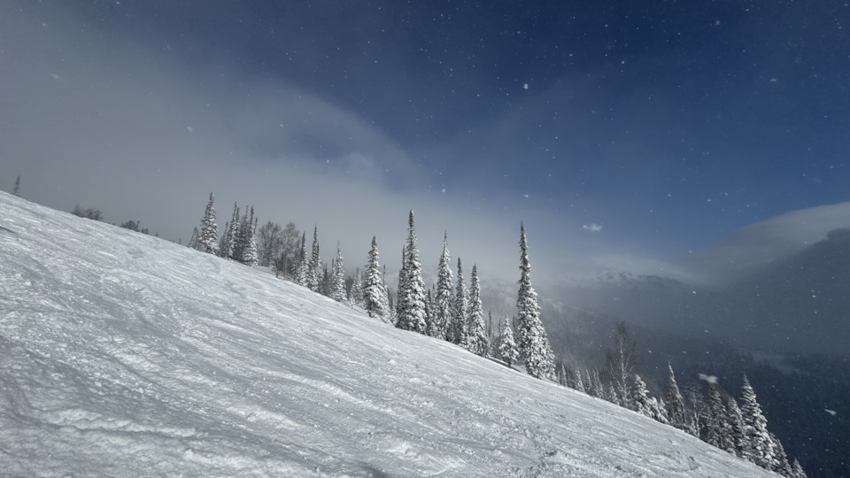 Фото в бортжурнале Skoda Kodiaq (1G)