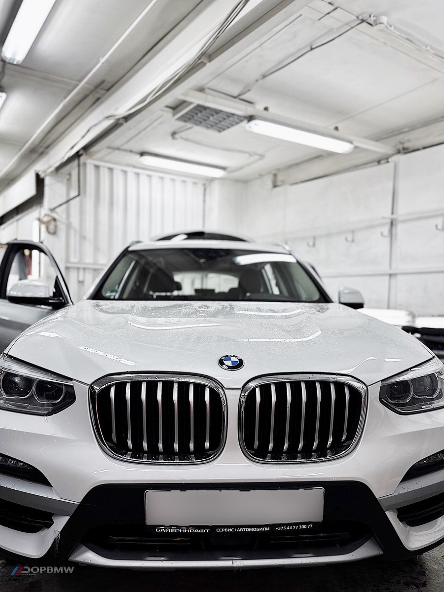 Круговой обзор на BMW X3 ( G01) — DopBMW на DRIVE2