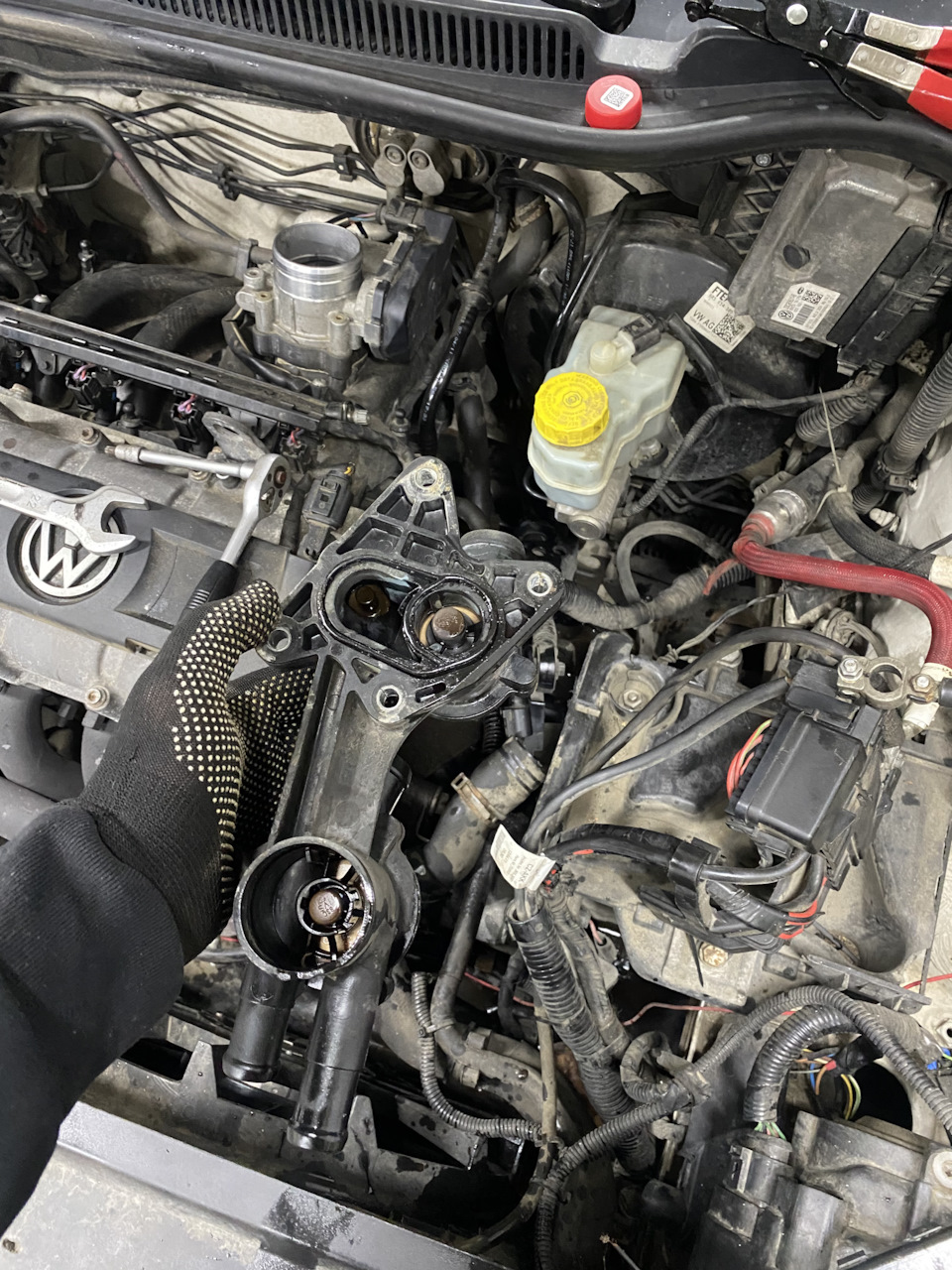 Фото в бортжурнале Volkswagen Polo Sedan