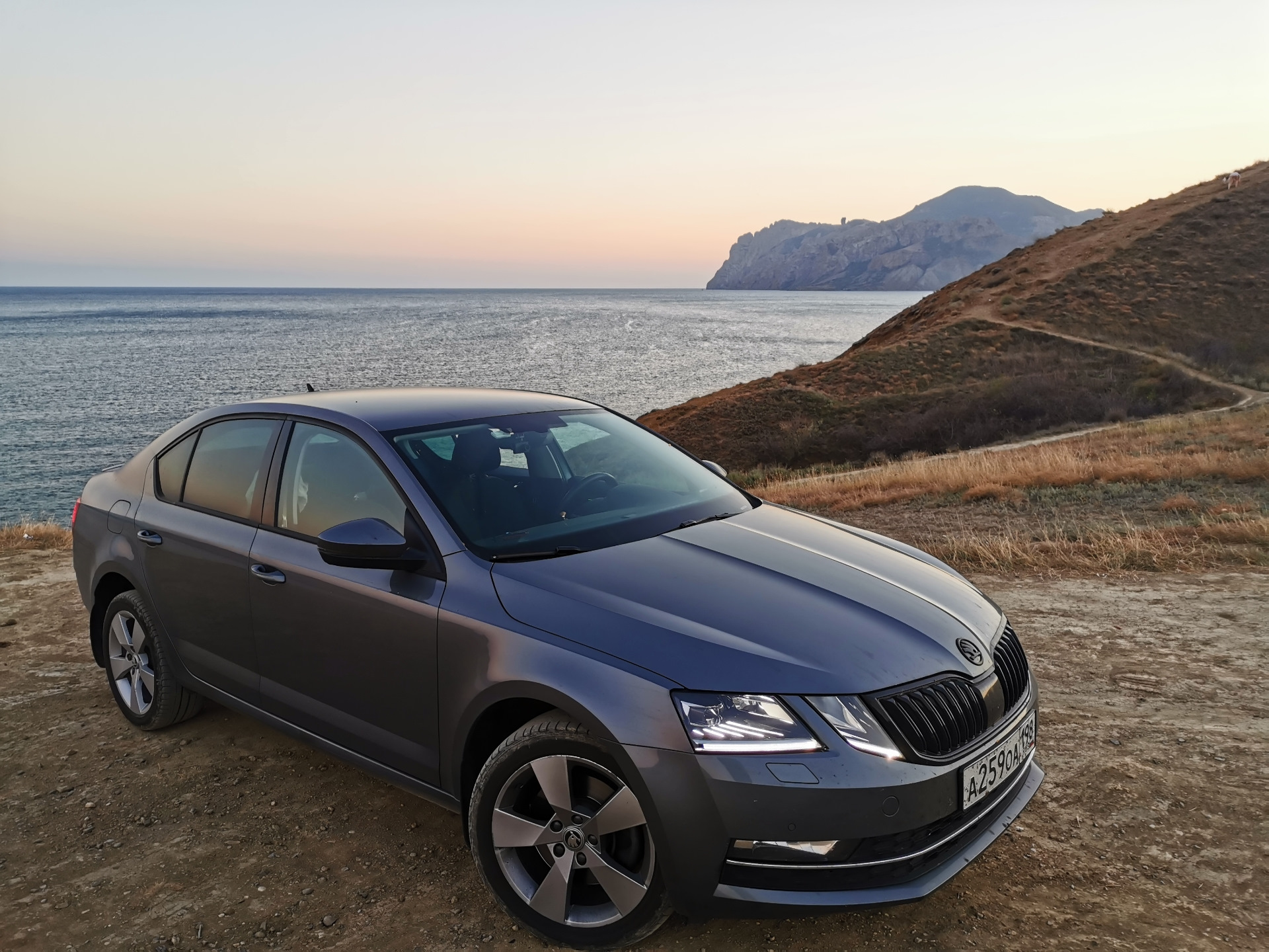 Skoda octavia 2018. Шкода Октавия платинум грей. Skoda Octavia Platinum Grey. Skoda Octavia mk3. Октавия а8 Platinum Grey.