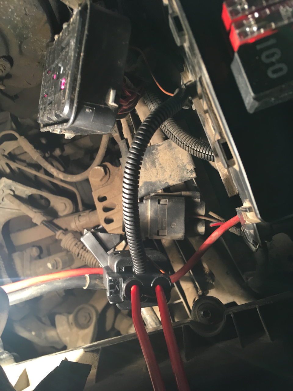 Фото в бортжурнале Skoda Octavia A5 Mk2