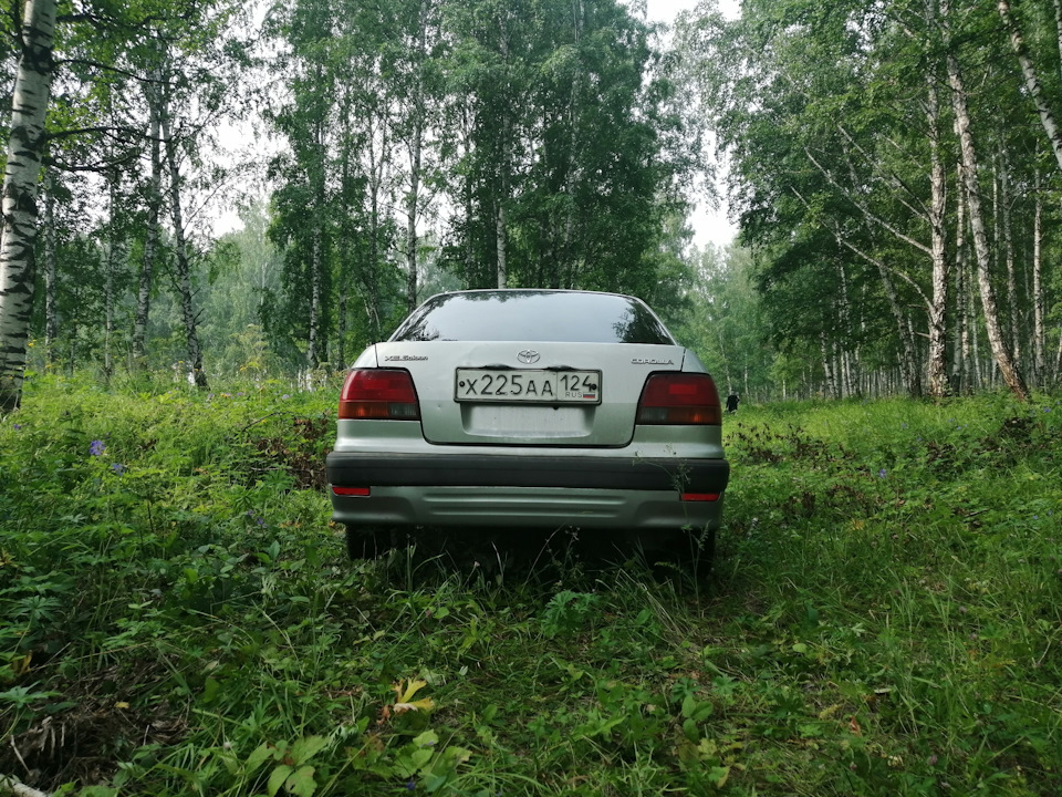 Задний бампер от кариба — Toyota Corolla (110), 1,5 л, 1996 года ...