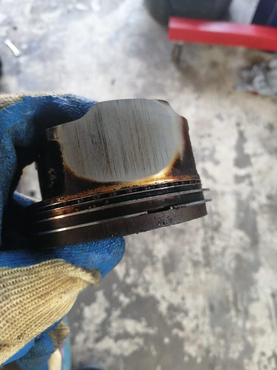 Фото в бортжурнале Subaru Forester (SG)