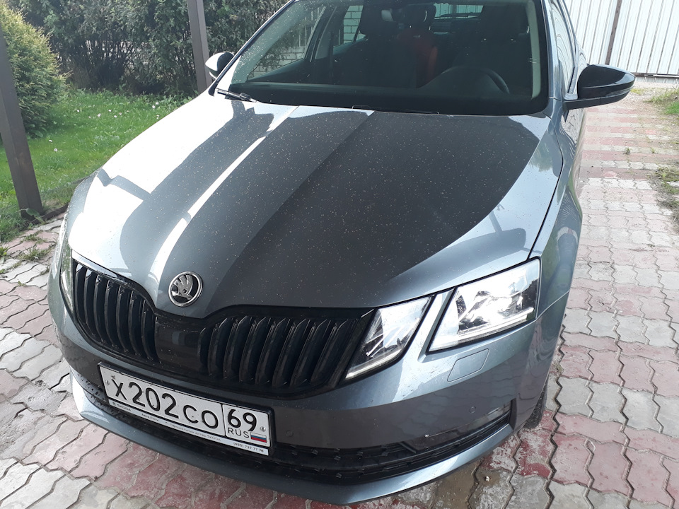 Skoda Octavia a5 черная матовая