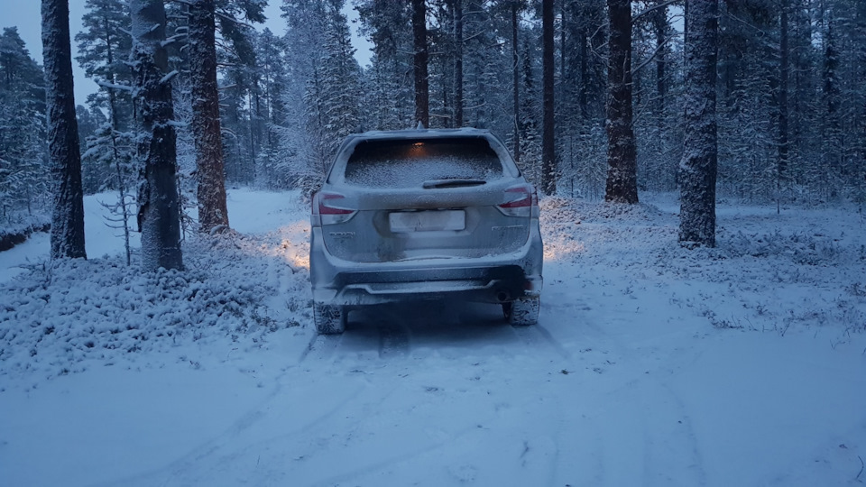 Sintec 0w20 — Subaru Forester (SK), 2 л, 2019 года | плановое ТО | DRIVE2