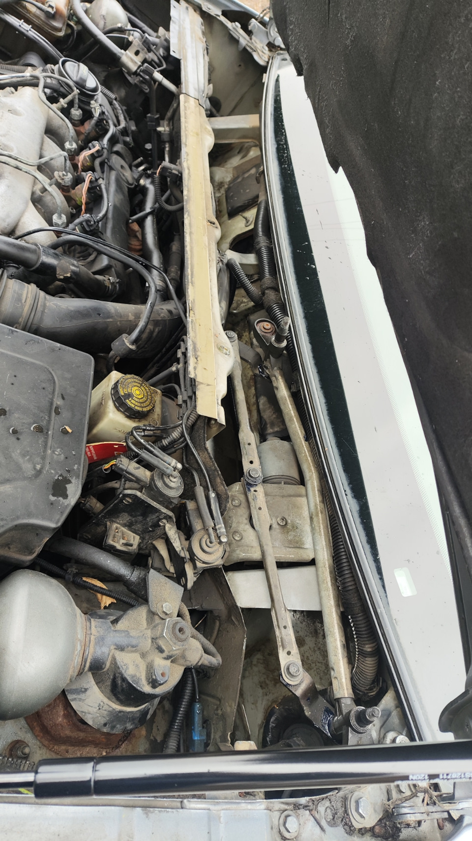 Снятие жабо, смазка трапеции дворников и чистка сливов. — Citroen C5 ...