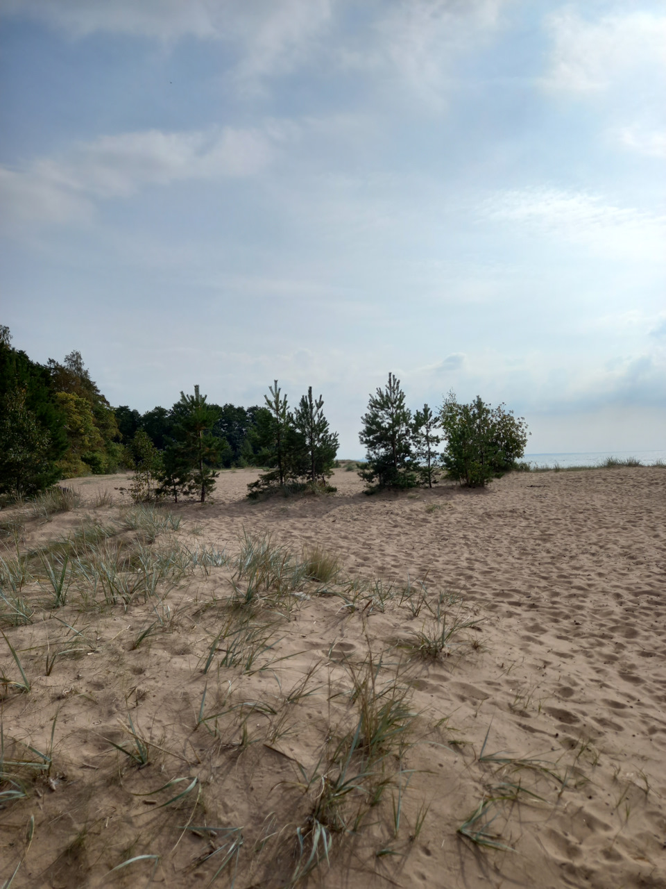 Фото в бортжурнале Renault Sandero 2G