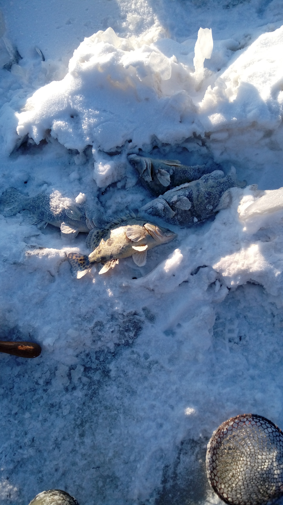 Чистка впускного коллектора — DRIVE2