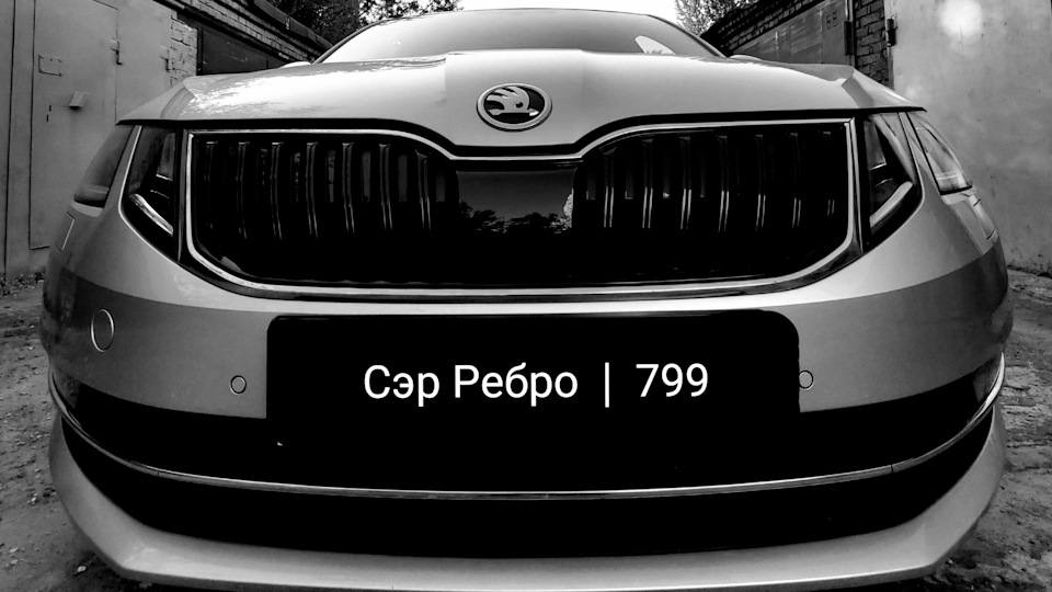 Skoda Octavia Сэр Ребро | 799