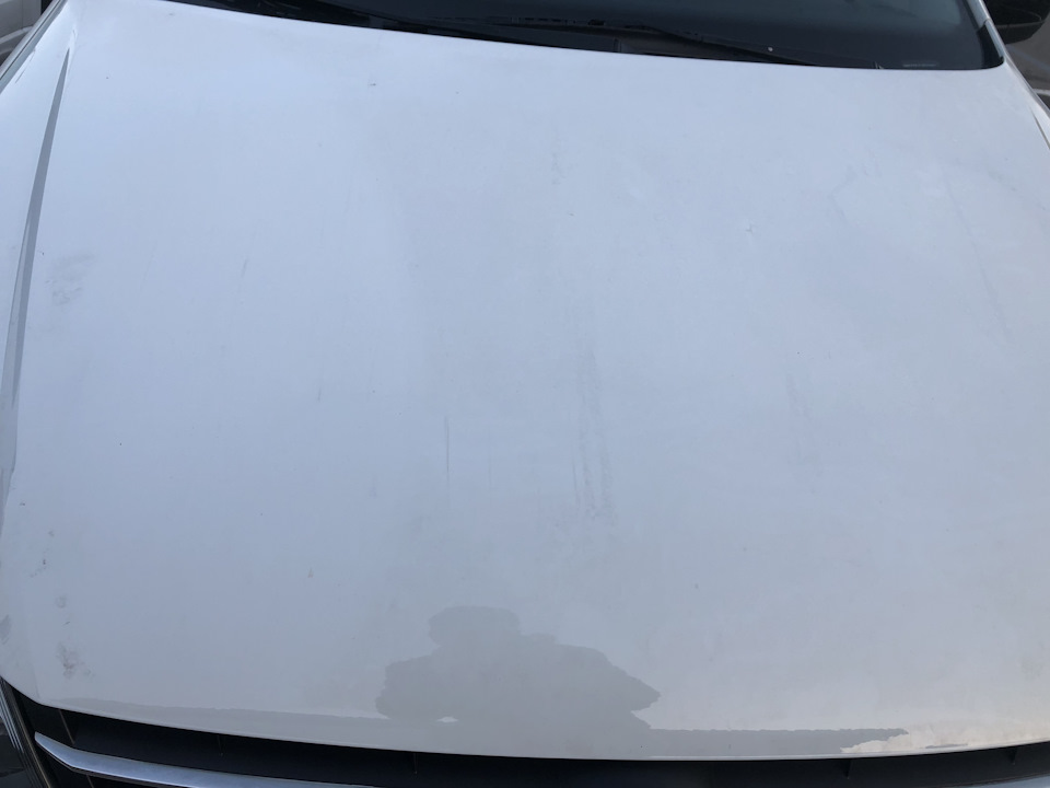 Царапины на капоте. Покрасил капот у диллера — Volkswagen Polo Sedan, 1 ...