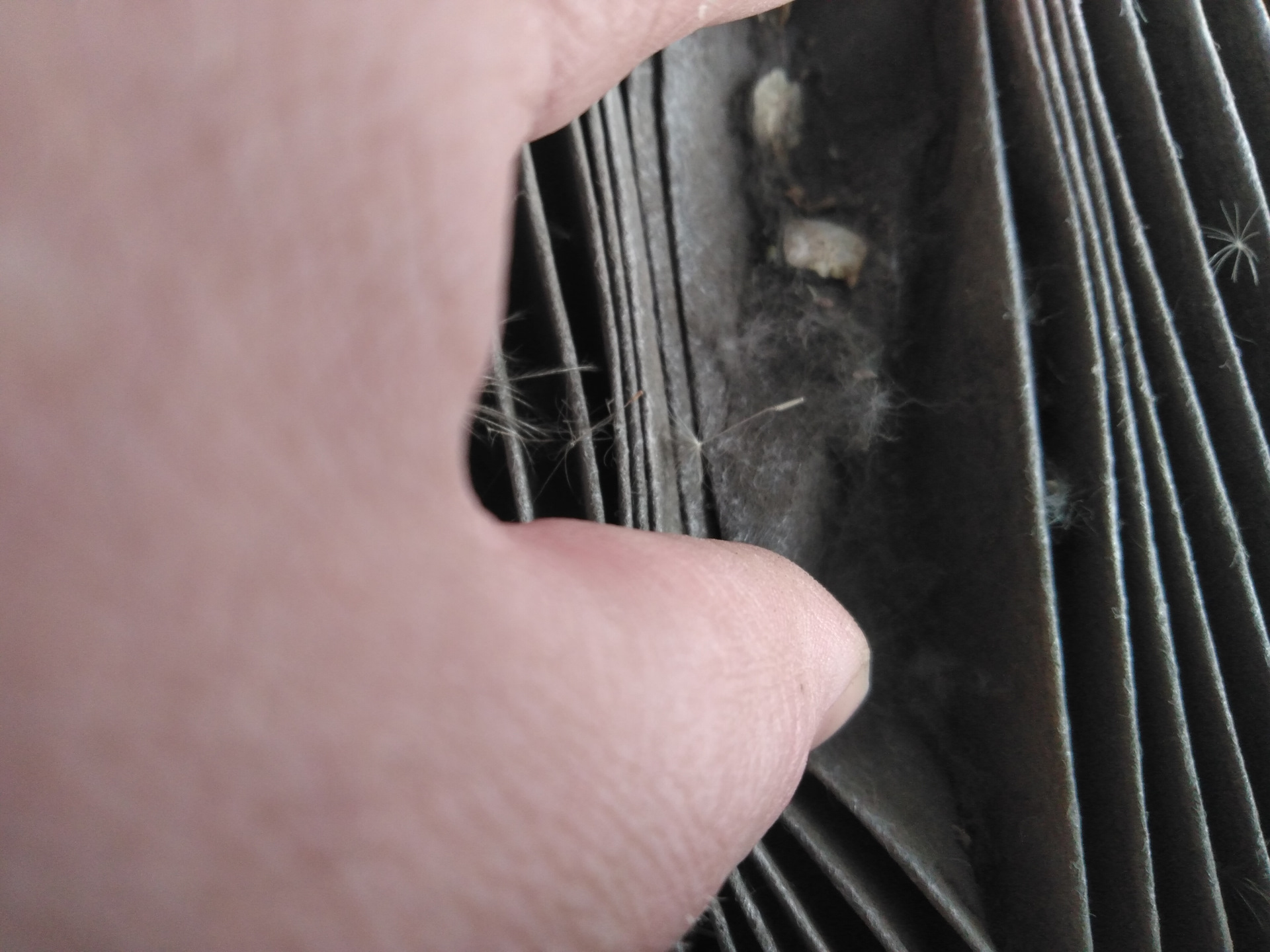 Салонный фильтр. — Lada Гранта (2G) FL, 1,6 л, 2020 года | наблюдение ...