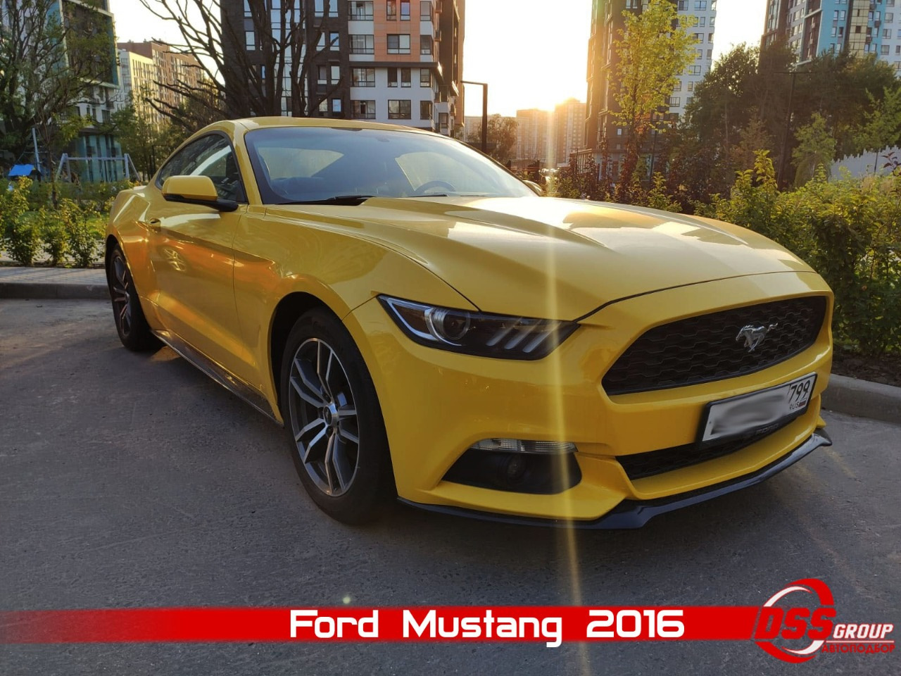 Ford Mustang 6 поколение (S550) — DSS Group автоподбор на DRIVE2