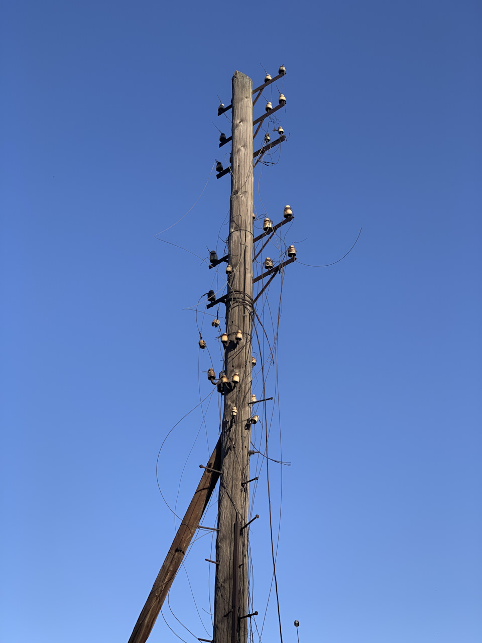 Photo from the logbook UAZ 3153