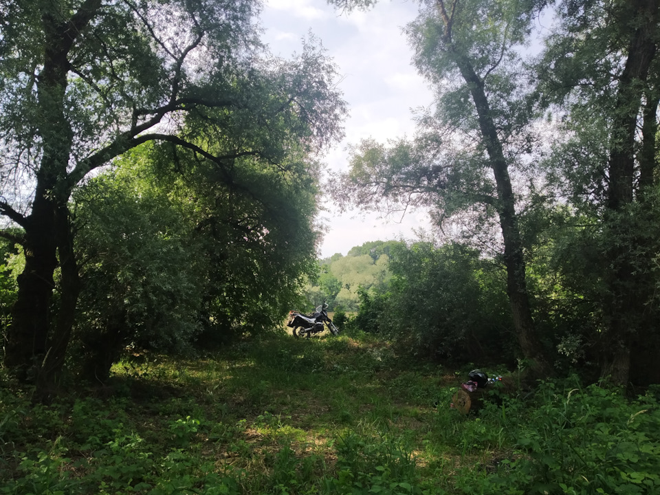 Фото в бортжурнале Honda Civic Hatchback (9G)