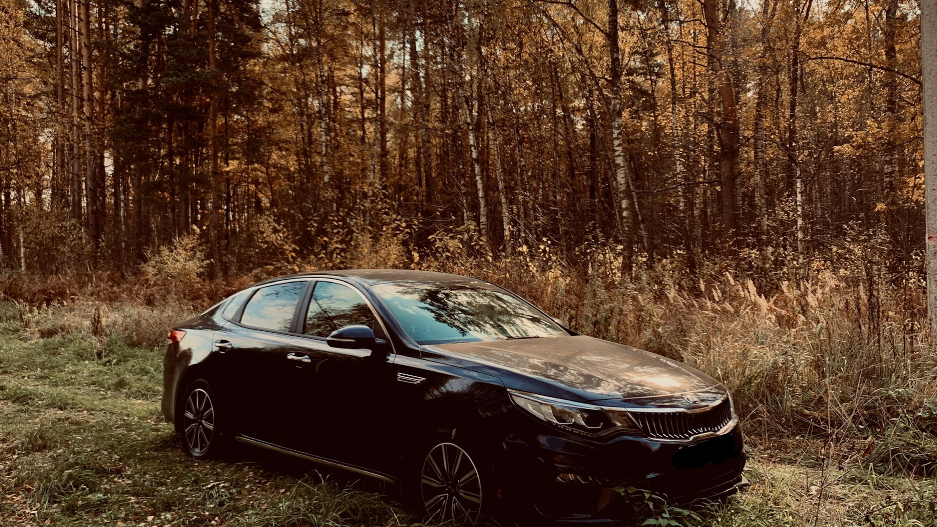 KIA Optima (4G) 2.4 бензиновый 2018 | Синий Opium на DRIVE2