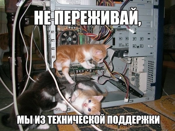 Почему котикам компьютеры не нравятся скачать