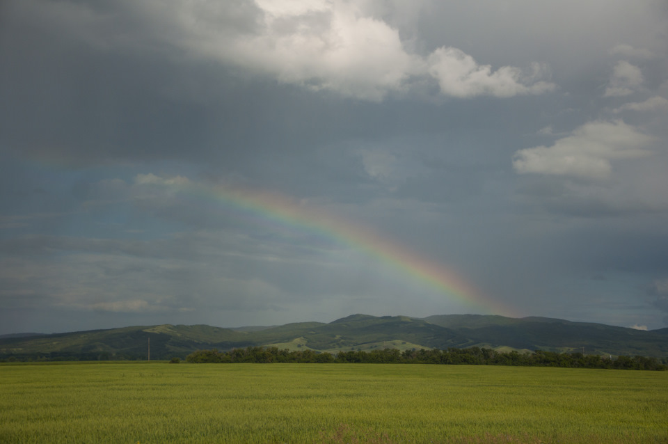 Фото в бортжурнале Chevrolet Niva (1G)