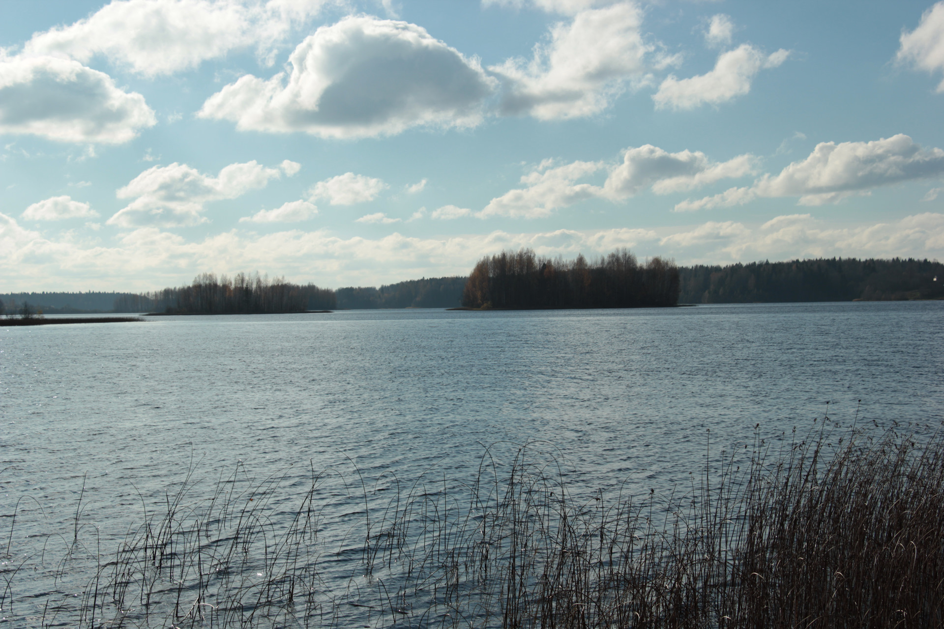 озеро городно новгородская