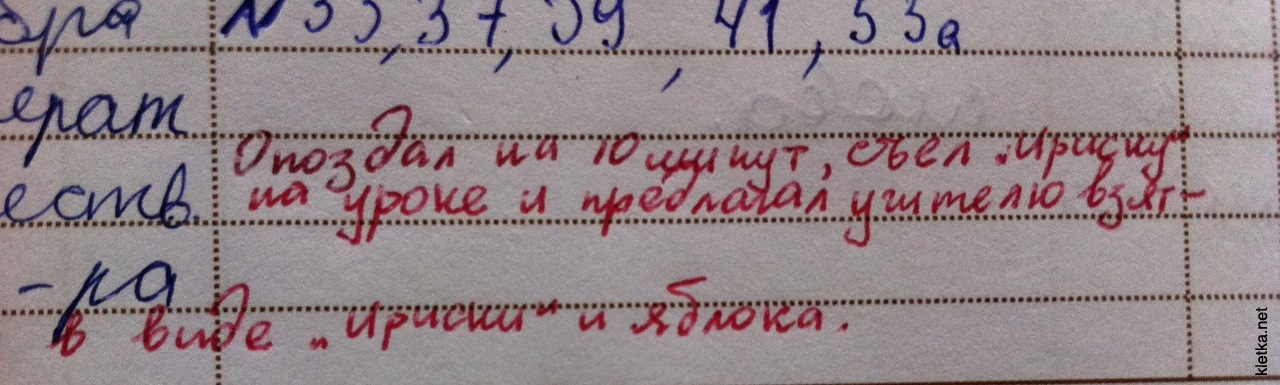 Замечаниями 4. Смешные записи детей с двойкой. Дневник с надписью молодец. Пометки смешная картинка. Картинки прикольные записывай.