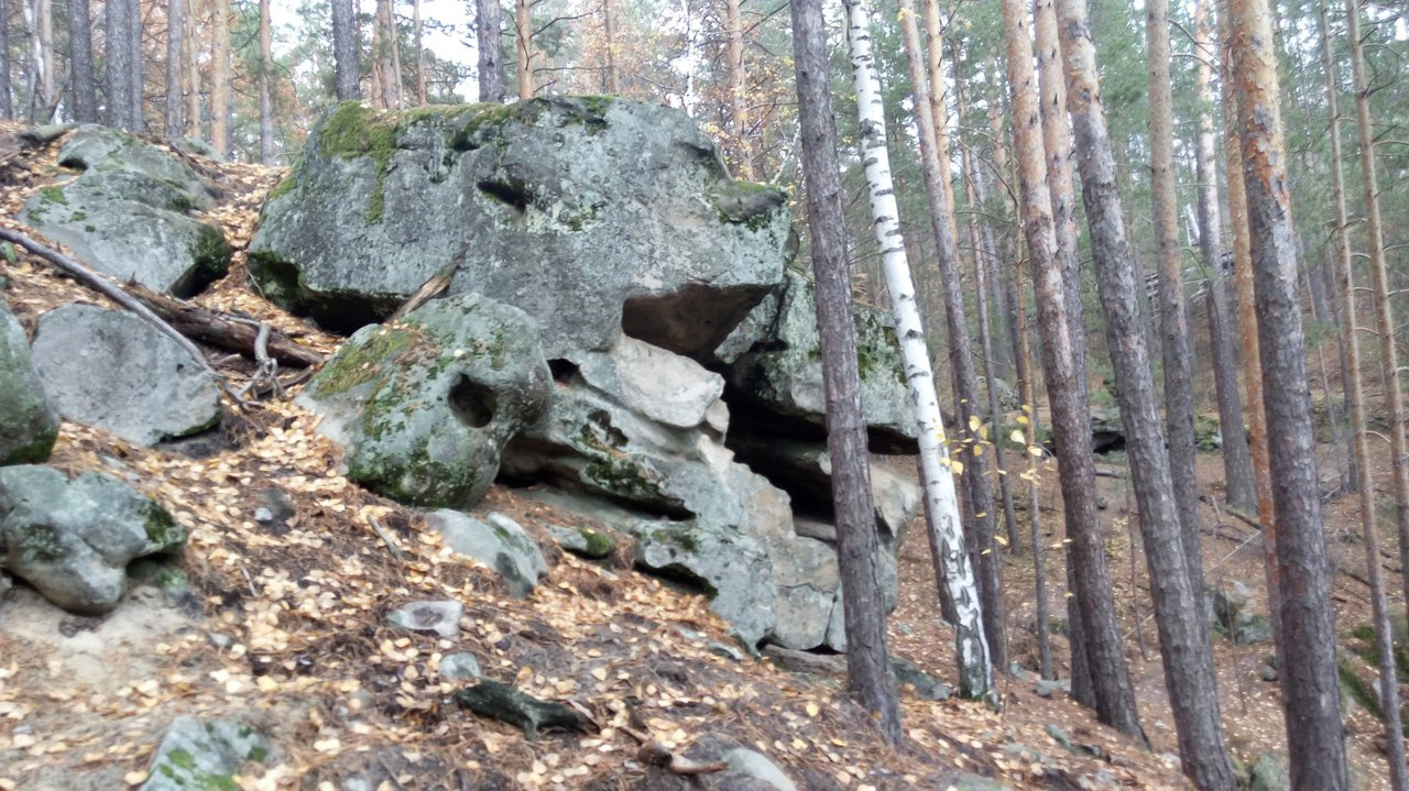 Рачеевский бор фото