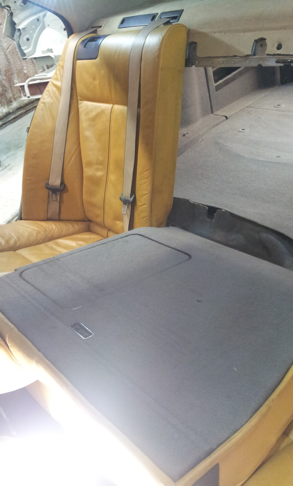 Фото в бортжурнале BMW 5 series (E39)