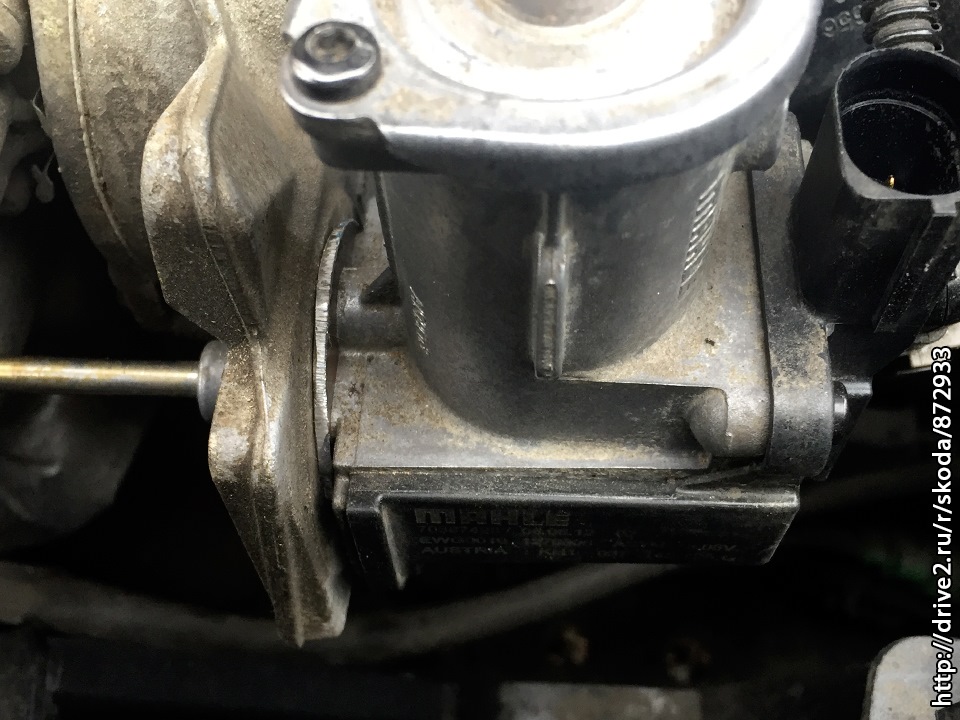 Фото в бортжурнале Skoda Fabia Monte Carlo