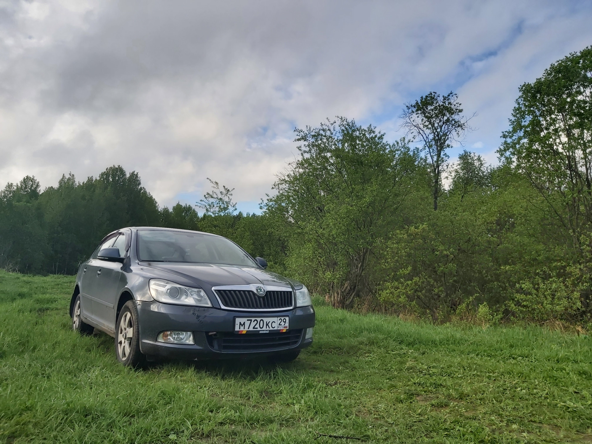 Летняя резина — Skoda Octavia A5 Mk2, 1,6 л, 2009 года | шины | DRIVE2