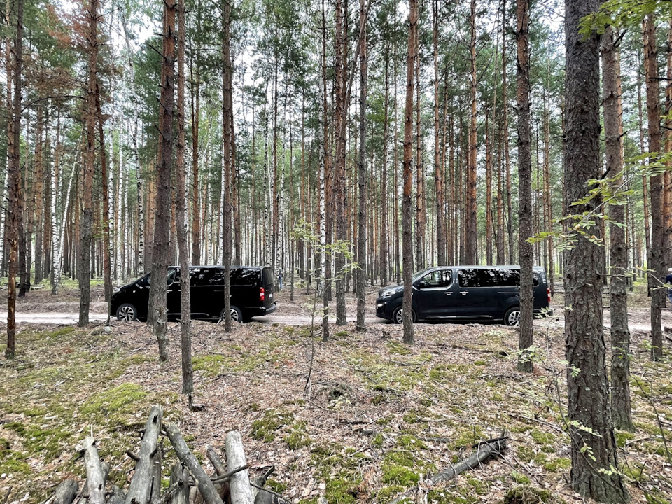 Тревеллер что это такое. f0GY3b3 gRtY0FudpwObZJchD7w 960. Тревеллер что это такое фото. Тревеллер что это такое-f0GY3b3 gRtY0FudpwObZJchD7w 960. картинка Тревеллер что это такое. картинка f0GY3b3 gRtY0FudpwObZJchD7w 960. Ни для кого не секрет, что полноприводный автомобиль проедет дальше, чем его моноприводный собрат. Ну а дальше все уже зависит от типа покрышек, опыта водителя, и конечно от наличия трактора, за которым все равно придется идти, потому что полноприводная версия миниавтобуса Пежо это всего лишь дополнительная возможность проехать по отвратительной дороге, но никак не потенциал экспедиционного внедорожника.Но предлагаю обо всем по порядку. Начну с того, что Peugeot Traveller, как и его соплатформенный брат Citroen Space Tourer, попали на конвейере в уже далеком 2016 году.
