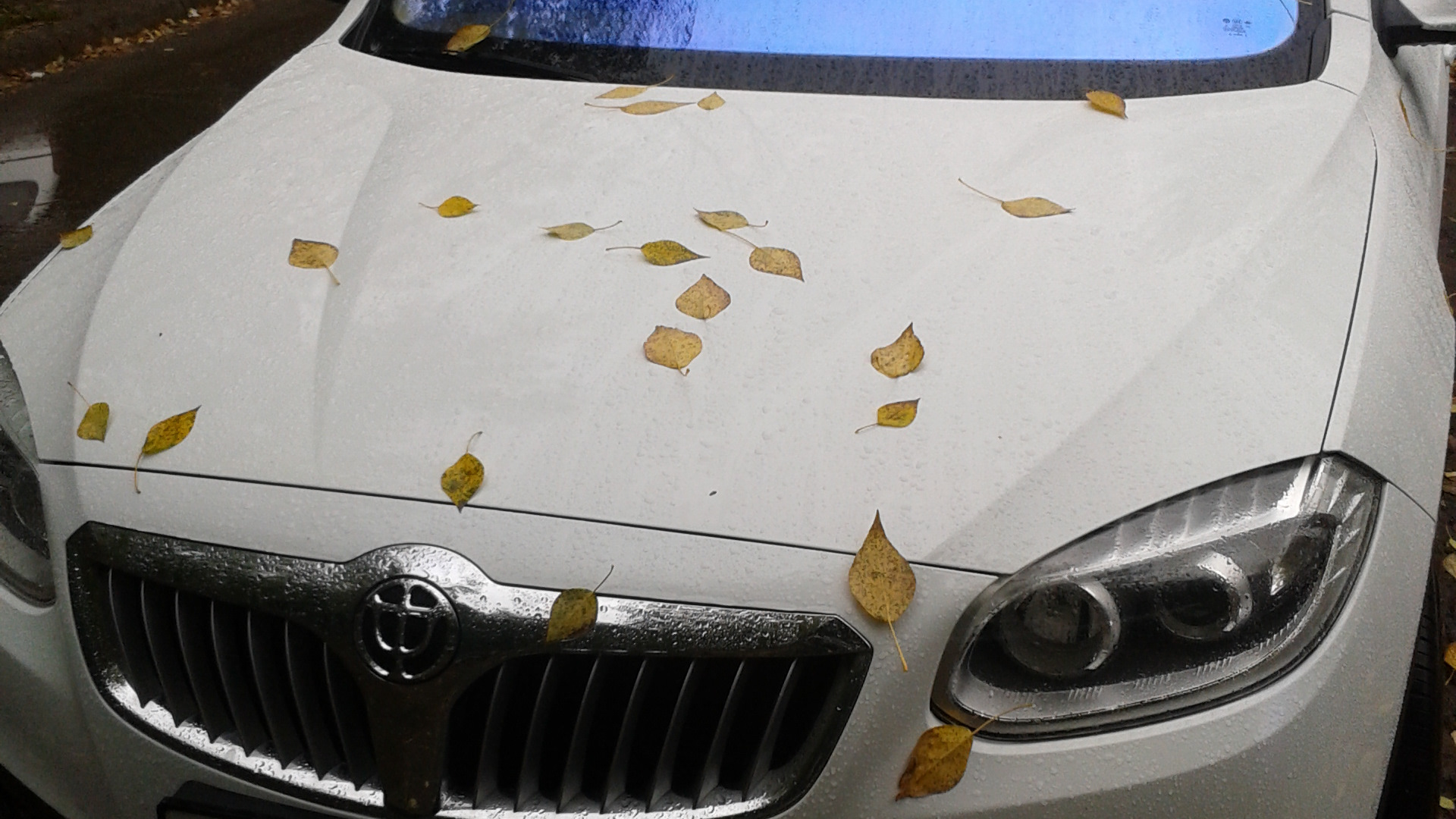 Brilliance V5 1.6 бензиновый 2014 | на DRIVE2