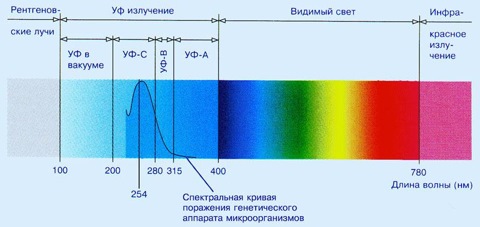 стекло пропускает ультрафиолетовые лучи?