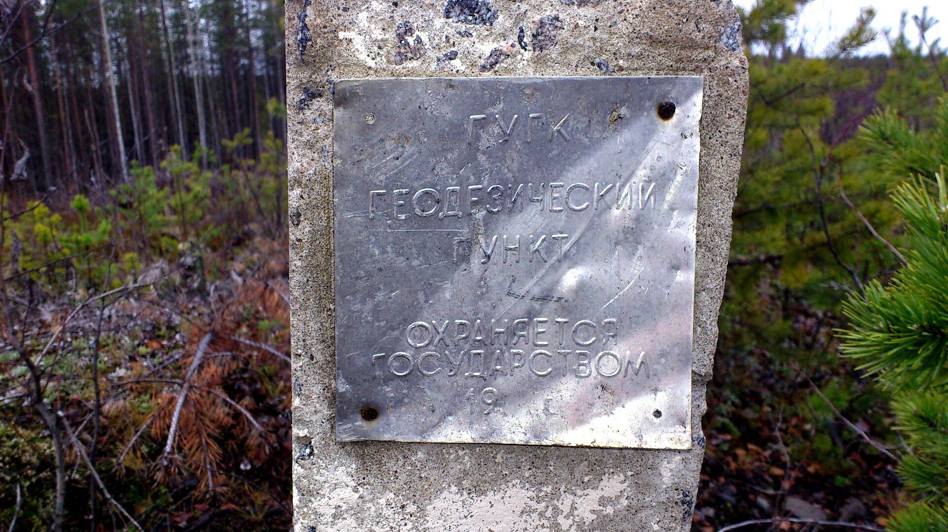 Геодезический Знак Сканворд 5 Букв