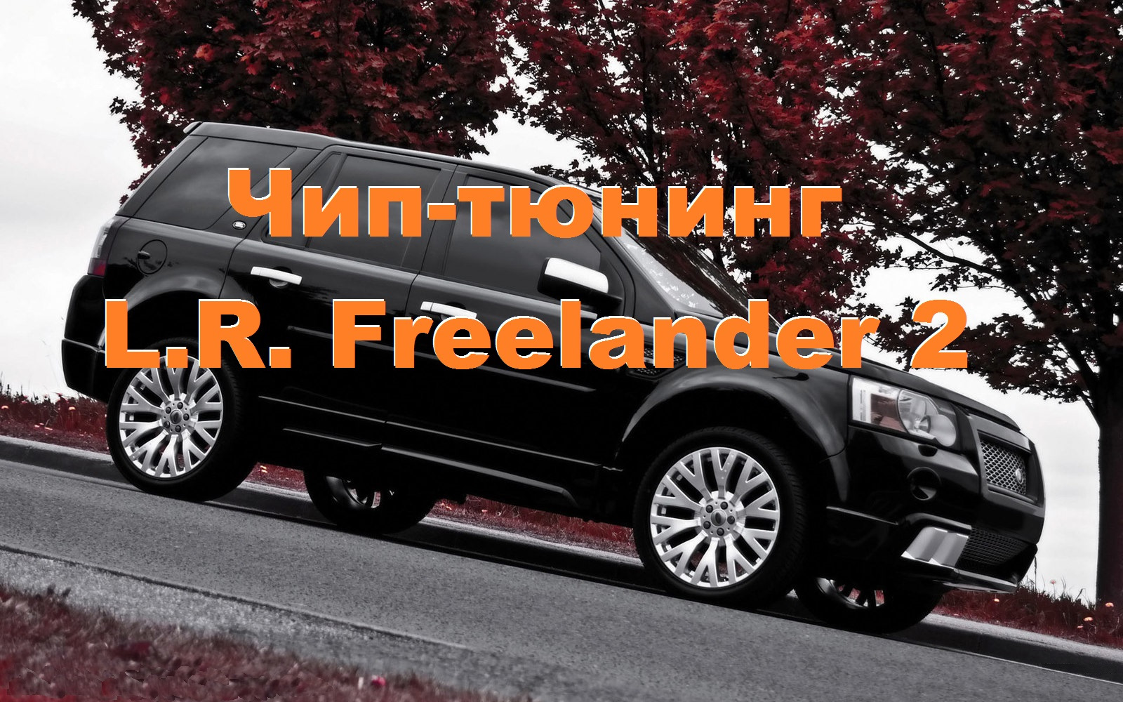 Чип-тюнинг LR Freelander 2. Все ЗА и ПРОТИВ — Land Rover Freelander 2, 2,2  л, 2009 года | тюнинг | DRIVE2