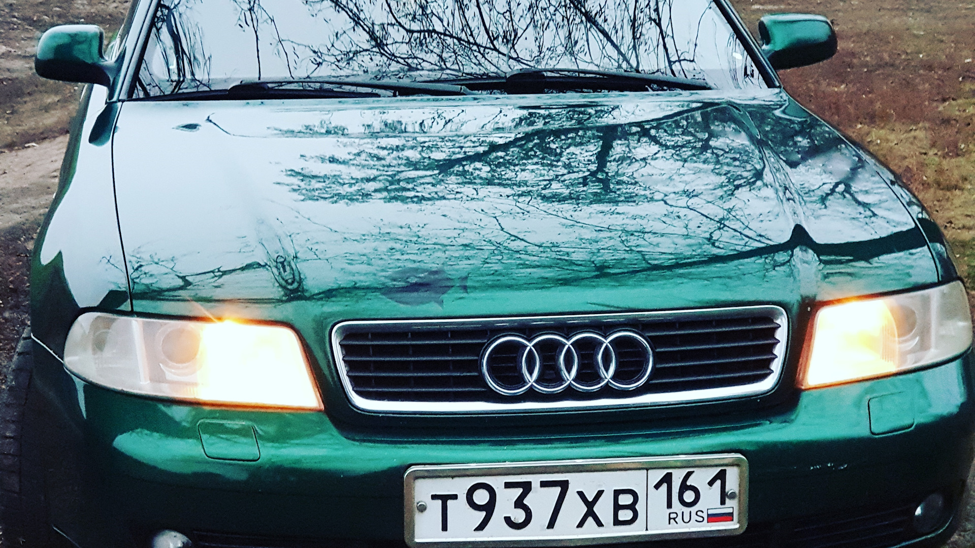 Audi A4 (B5) 1.8 бензиновый 1999 | Теперь зеленая на DRIVE2