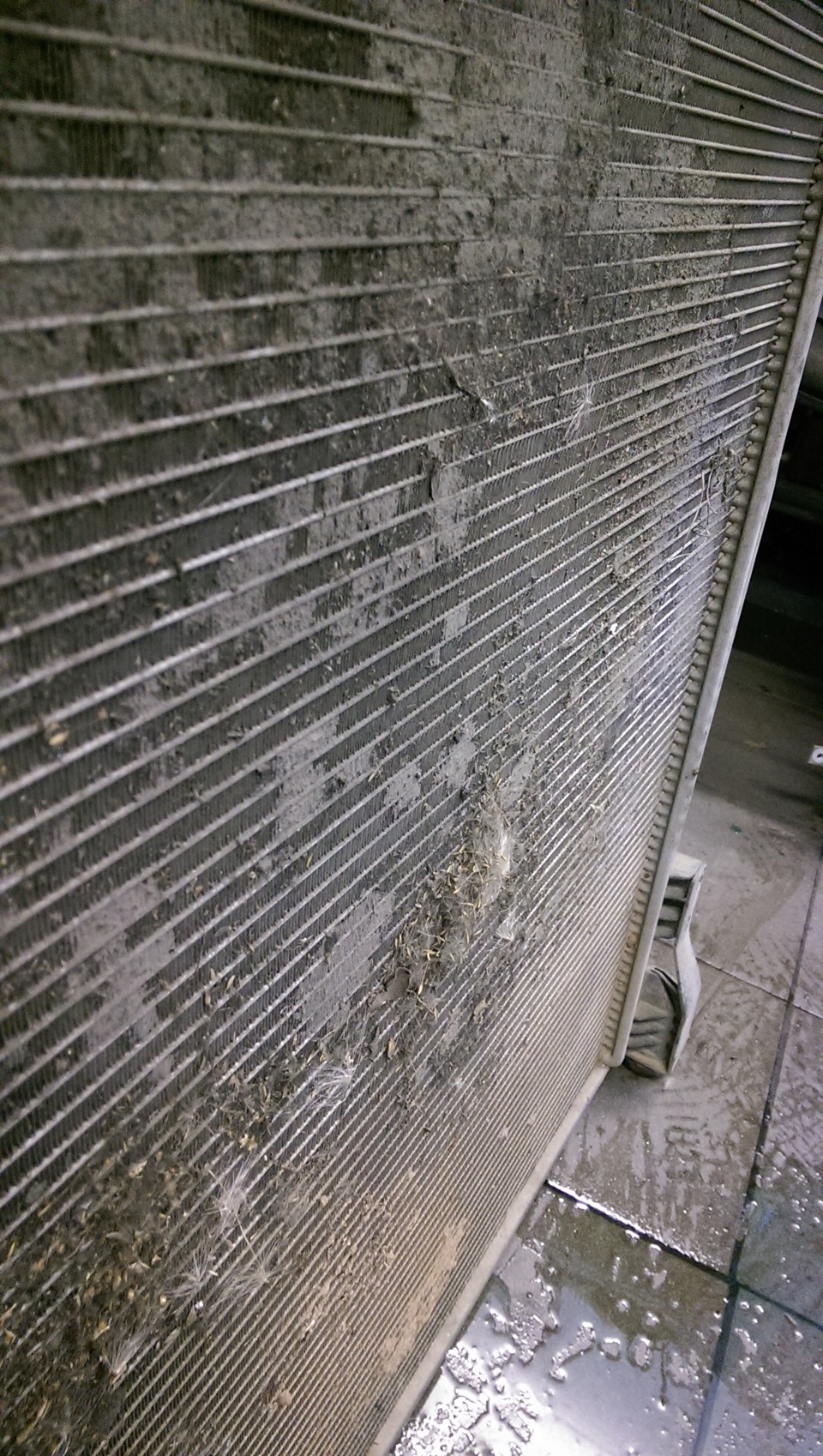 Когда дышать ему нечем — KIA Mohave, 3 л, 2011 года | плановое ТО | DRIVE2