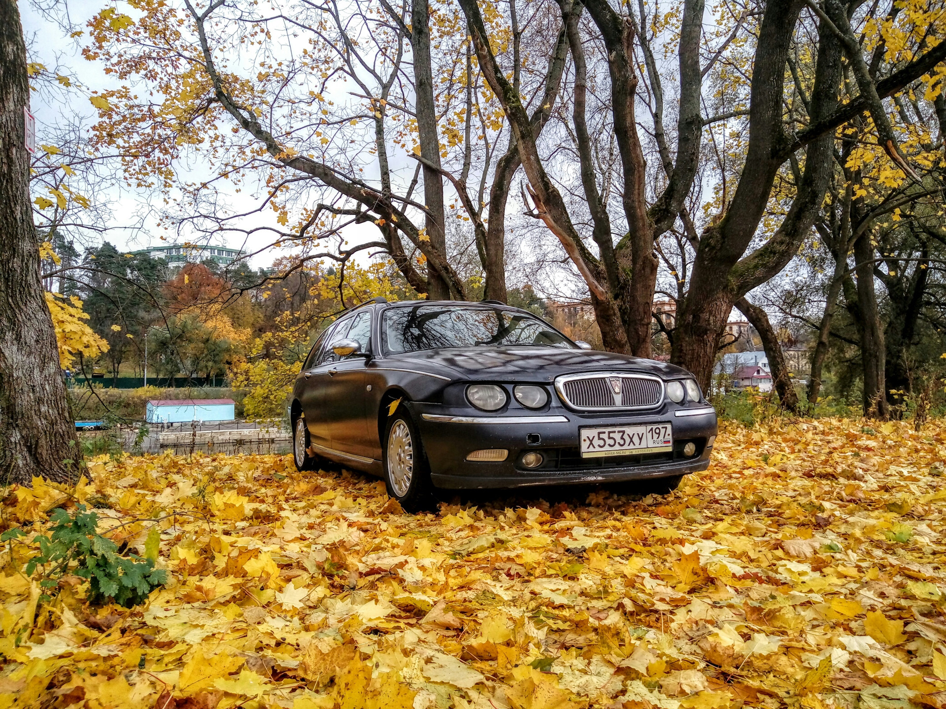 Rover 75. Ровер 75 стенс. Rover 75 drive2. Лес Ровер 75.