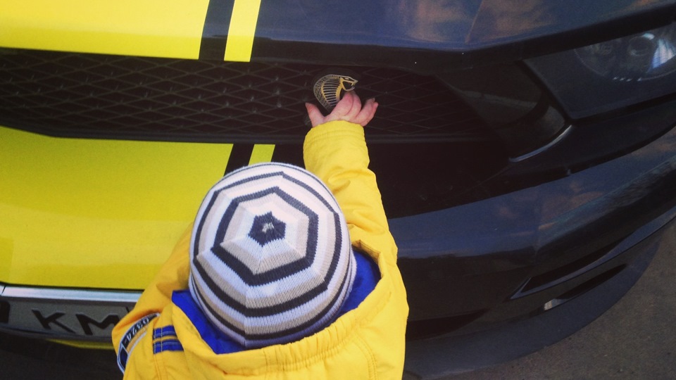 Кусочек дороги из СПб в Сыктывкар — Ford Mustang (5G), 2008 года ...