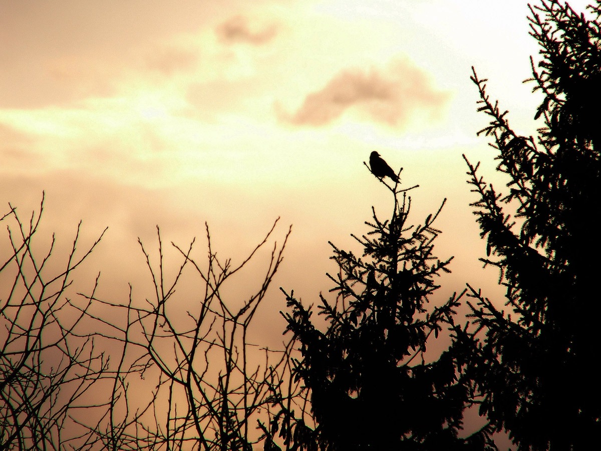 Закаты пропитаны грустью потому что каждый раз. Смотреть фото Закаты пропитаны грустью потому что каждый раз. Смотреть картинку Закаты пропитаны грустью потому что каждый раз. Картинка про Закаты пропитаны грустью потому что каждый раз. Фото Закаты пропитаны грустью потому что каждый раз Закаты пропитаны грустью потому что каждый раз. Смотреть фото Закаты пропитаны грустью потому что каждый раз. Смотреть картинку Закаты пропитаны грустью потому что каждый раз. Картинка про Закаты пропитаны грустью потому что каждый раз. Фото Закаты пропитаны грустью потому что каждый раз