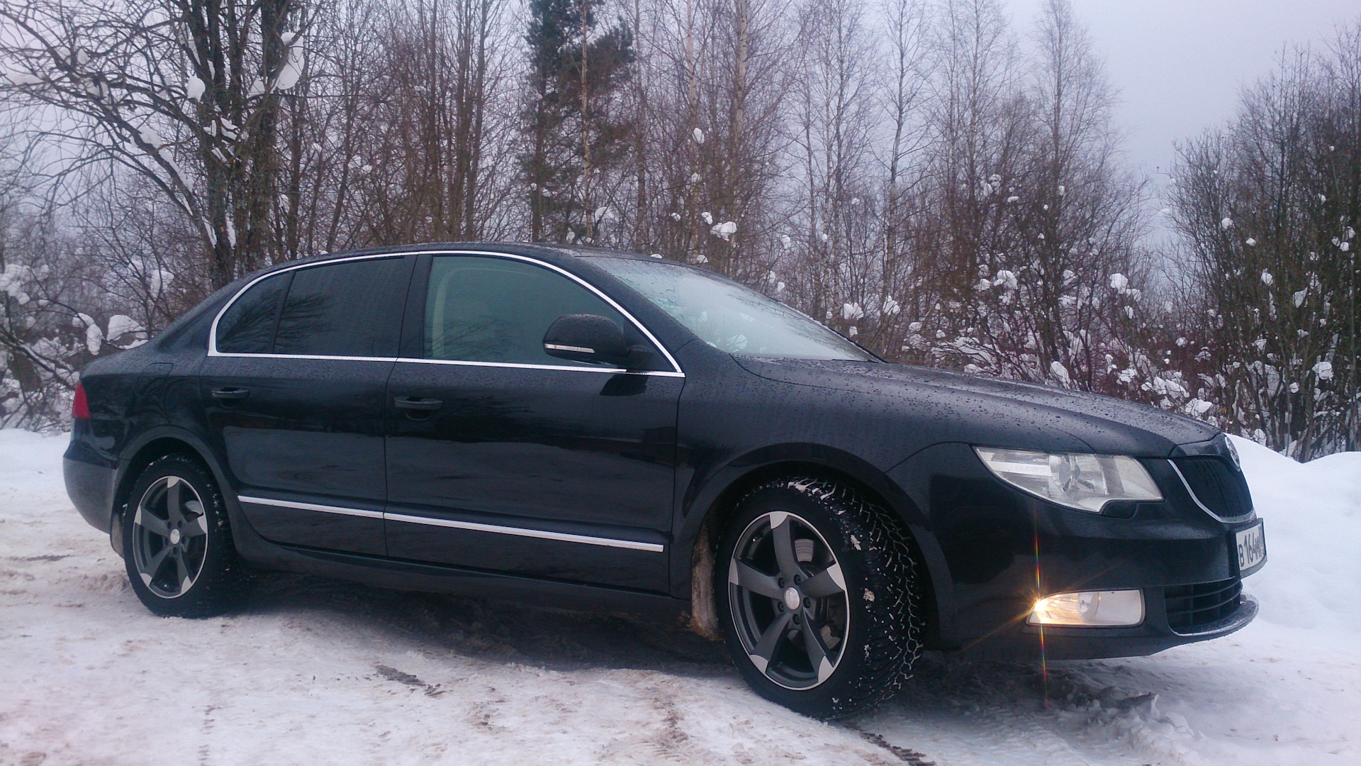 Skoda Superb Winter Forest