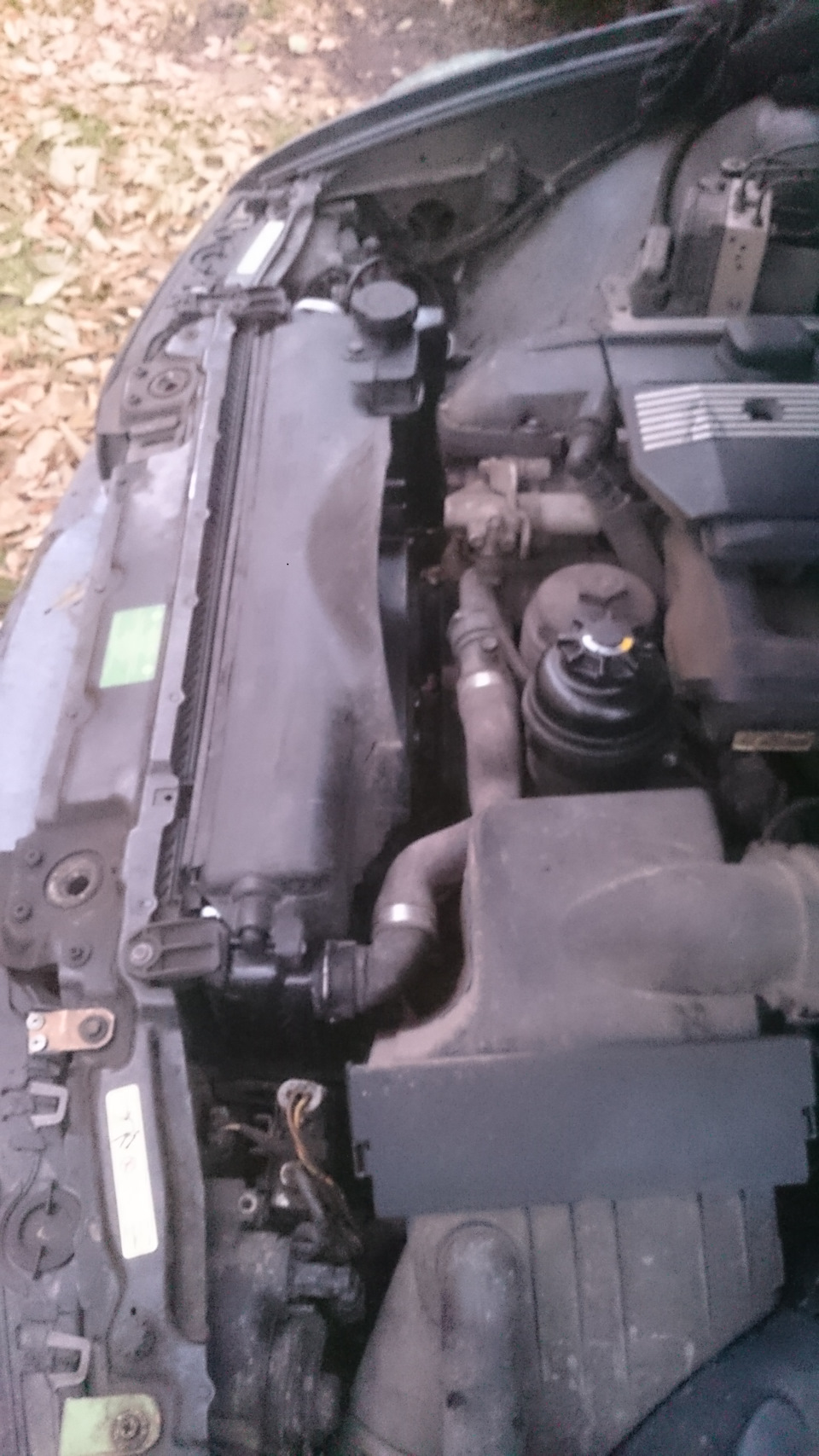 Фото в бортжурнале BMW 5 series (E39)