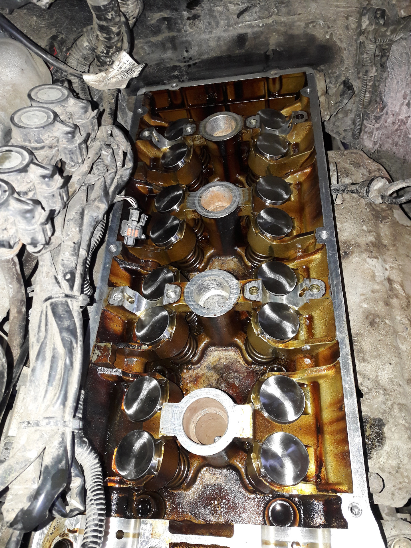 Ina гидрокомпенсаторы уаз 409. 406 406-1007045. Гидрокомпенсаторы змз 406 двигателя. Цепь грм форд фокус 2 1. Гидрокомпенсаторы 409 двигатель.